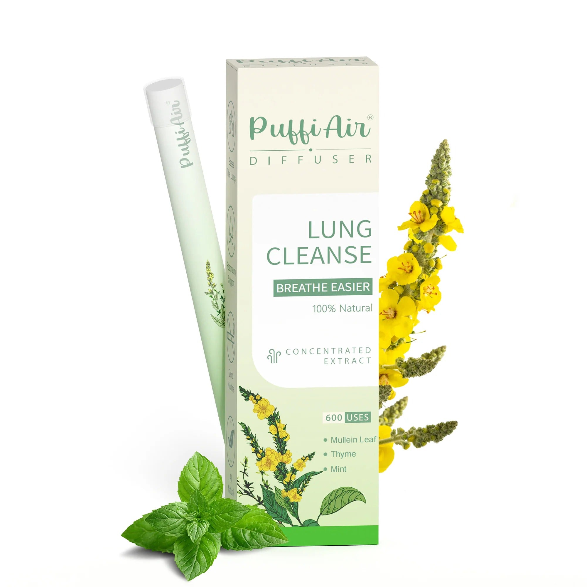 LungEase Inhaler
