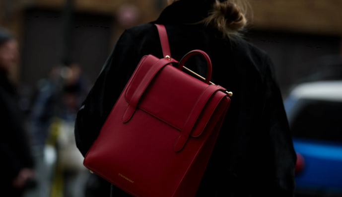 stylish backpack